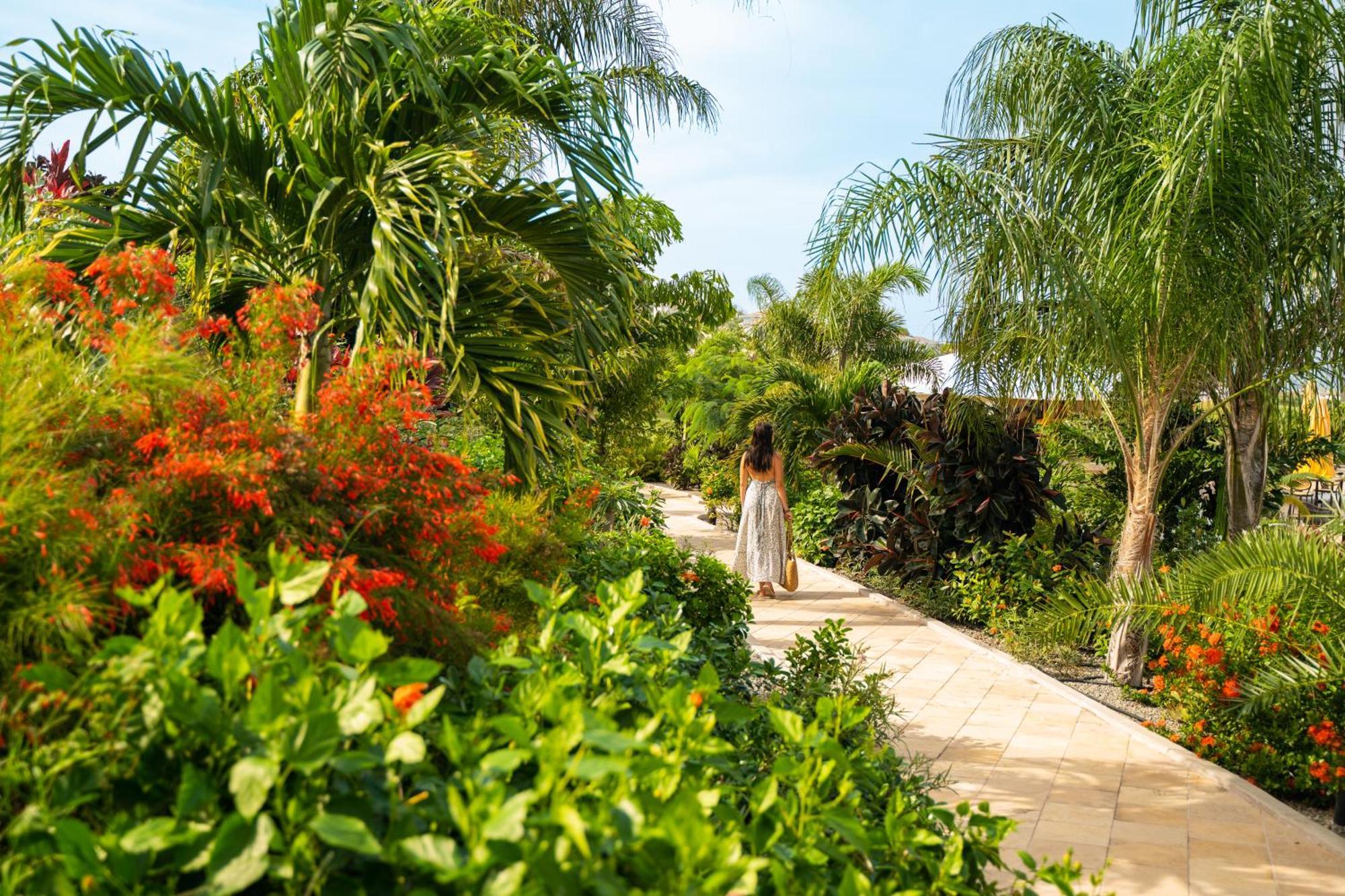 Golden Rock Dive And Nature Resort Oranjestad  Esterno foto